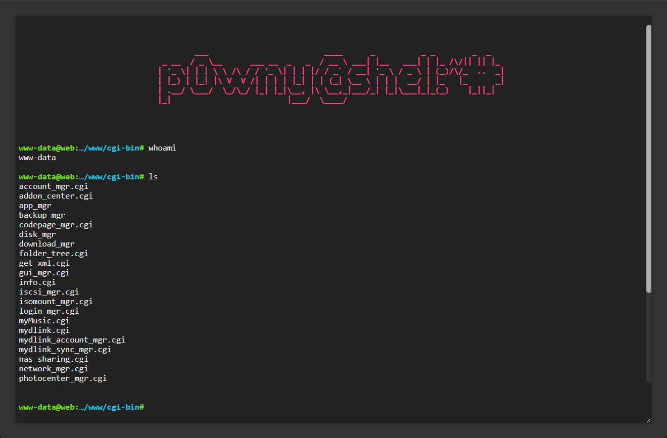 Flagvent 2025 - Day 10 - p0wny shell