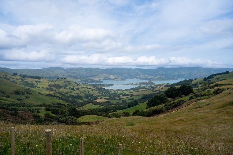 Latest Photograpy Image