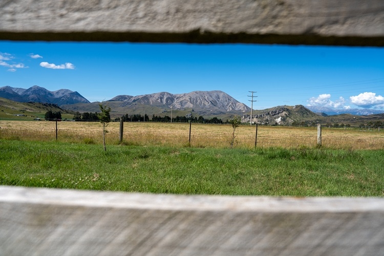 Latest Photograpy Image