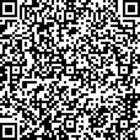Hackvent 2024 - Day 15 - Blitzen QR Code