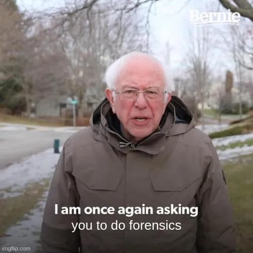 Hackvent 2024 - Day 5- Image.jpg (Bernie Sanders)