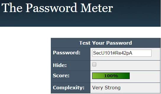 The Password Meter