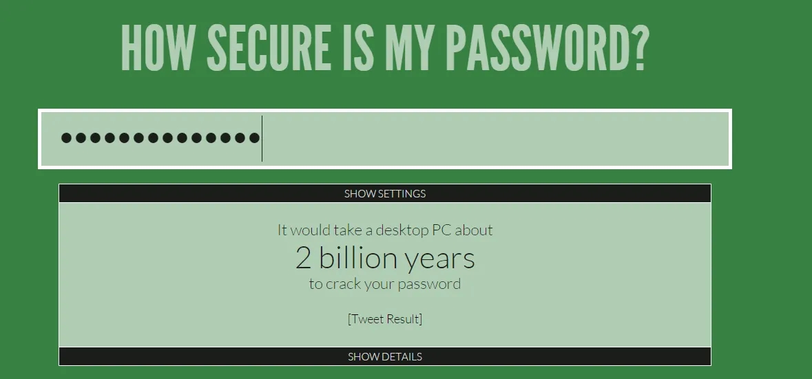How Secure Is My Password website result