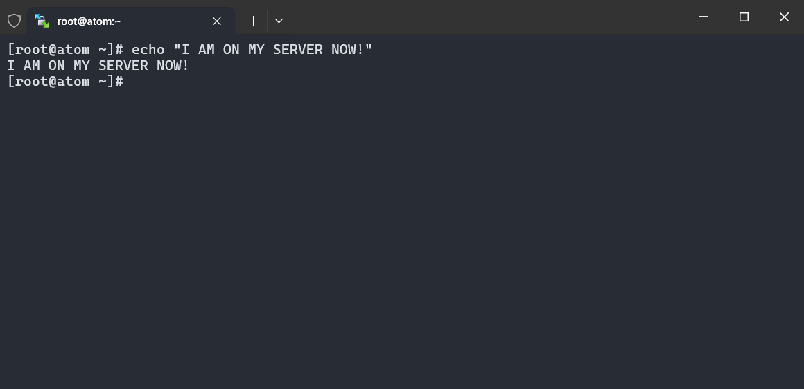 Screenshot of Windows Terminal running Git Bash spawned from WinSCP.