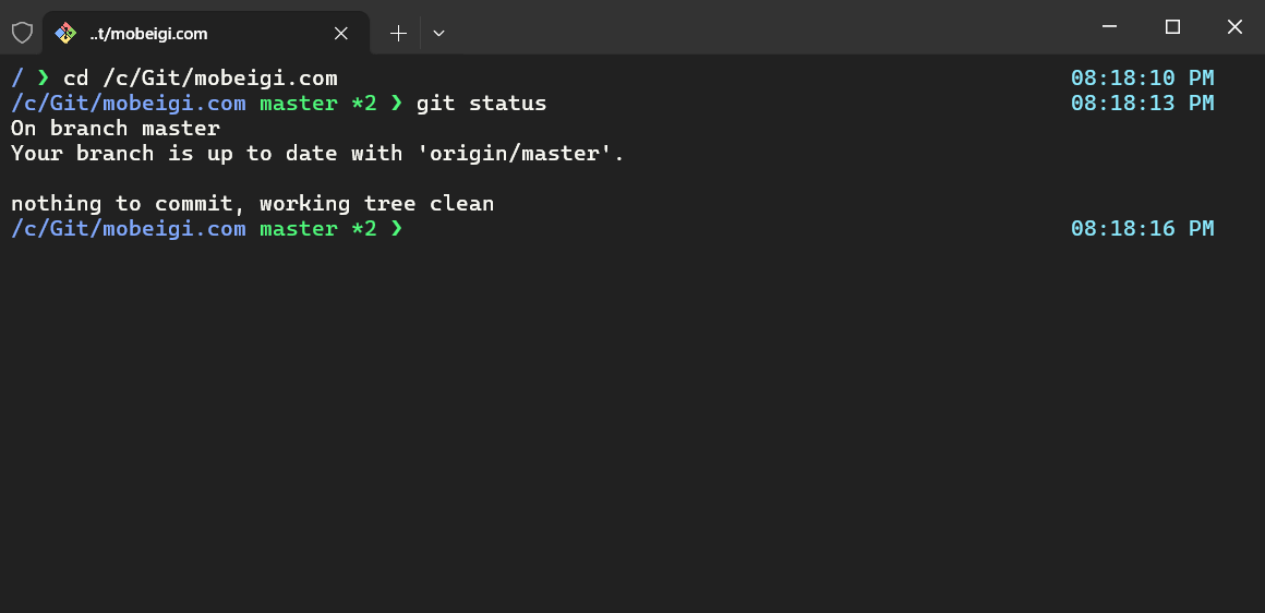 Screenshot of Windows Terminal running Git Bash with Zsh and Oh My Zsh configured.