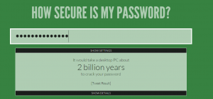 How Secure is my password Dot Net
